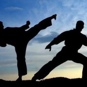 016255100_1487375130-Martial-arts-21