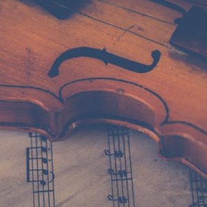 pexels-ylanite-koppens-697672